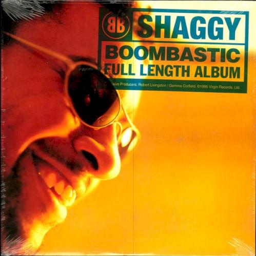 Shaggy Featuring Rayvon